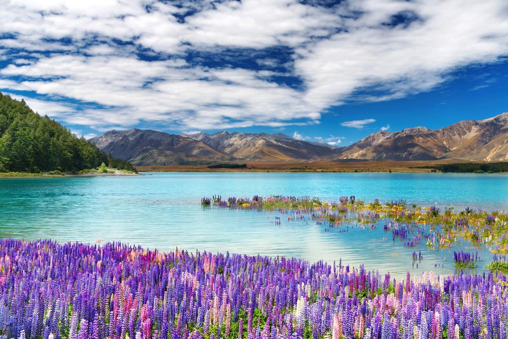 Alpine Views Burkes Pass Villa Luaran gambar